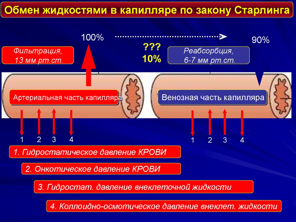 Жидкость между. Теория Старлинга фильтрационно-резорбционная. Обмен жидкостями. Онкотическое давление в капиллярах. Онкотическое давление тканевой жидкости.