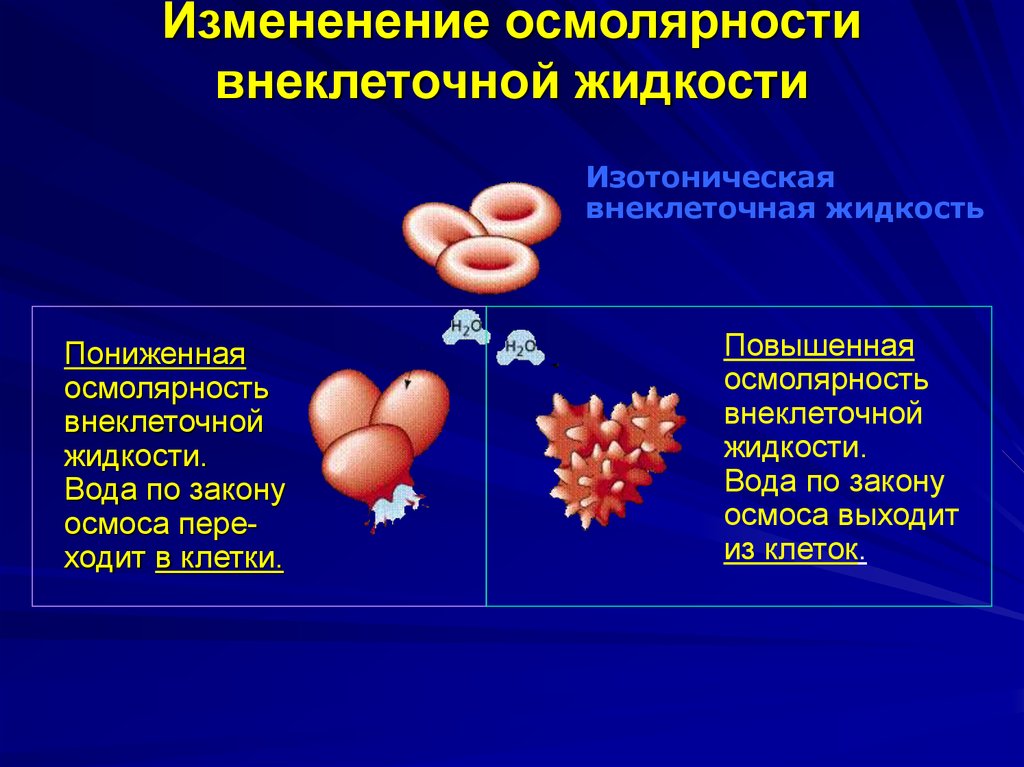 Внеклеточный катион. Осмолярность. Осмоляльность внеклеточной жидкости. Повышенная осмолярность. Повышение осмолярности.