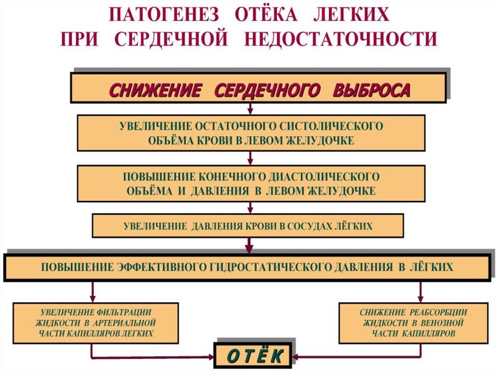 Патогенез хсн схема