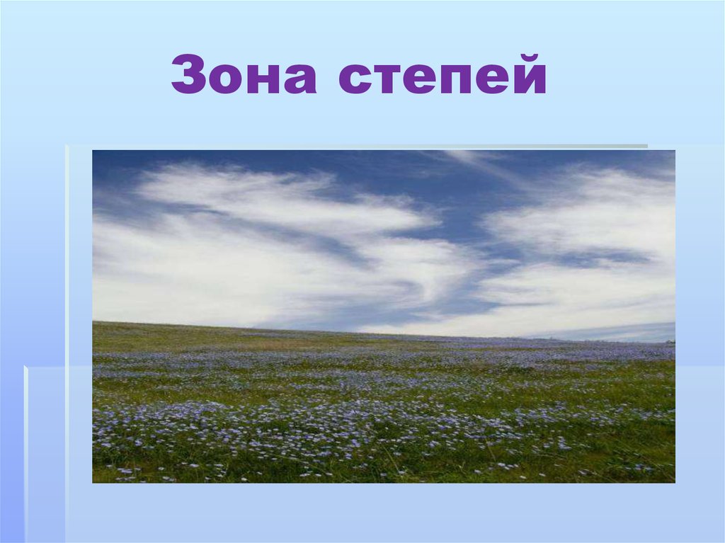 Степи 4 класс окружающий мир презентация школа россии презентация