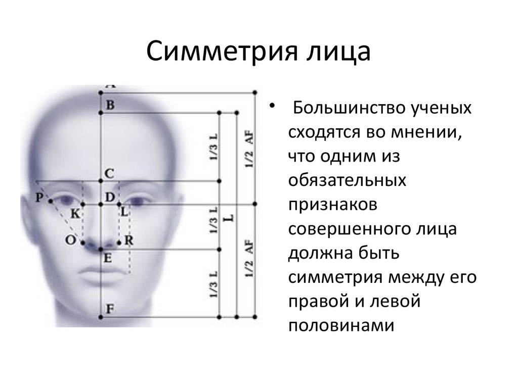 Стандарты лица. Локализация осей симметрии лица.. Ось симметрии лица. Пропорции лица человека симметрия. Симметрия лица схема.