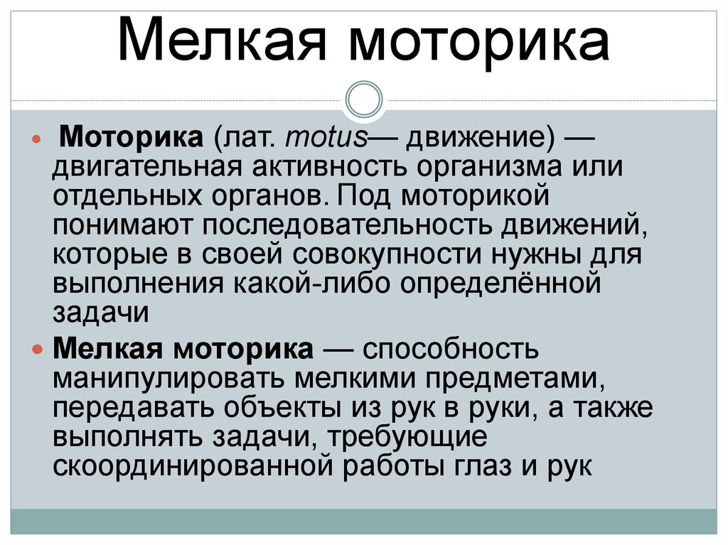 Мелкая моторика