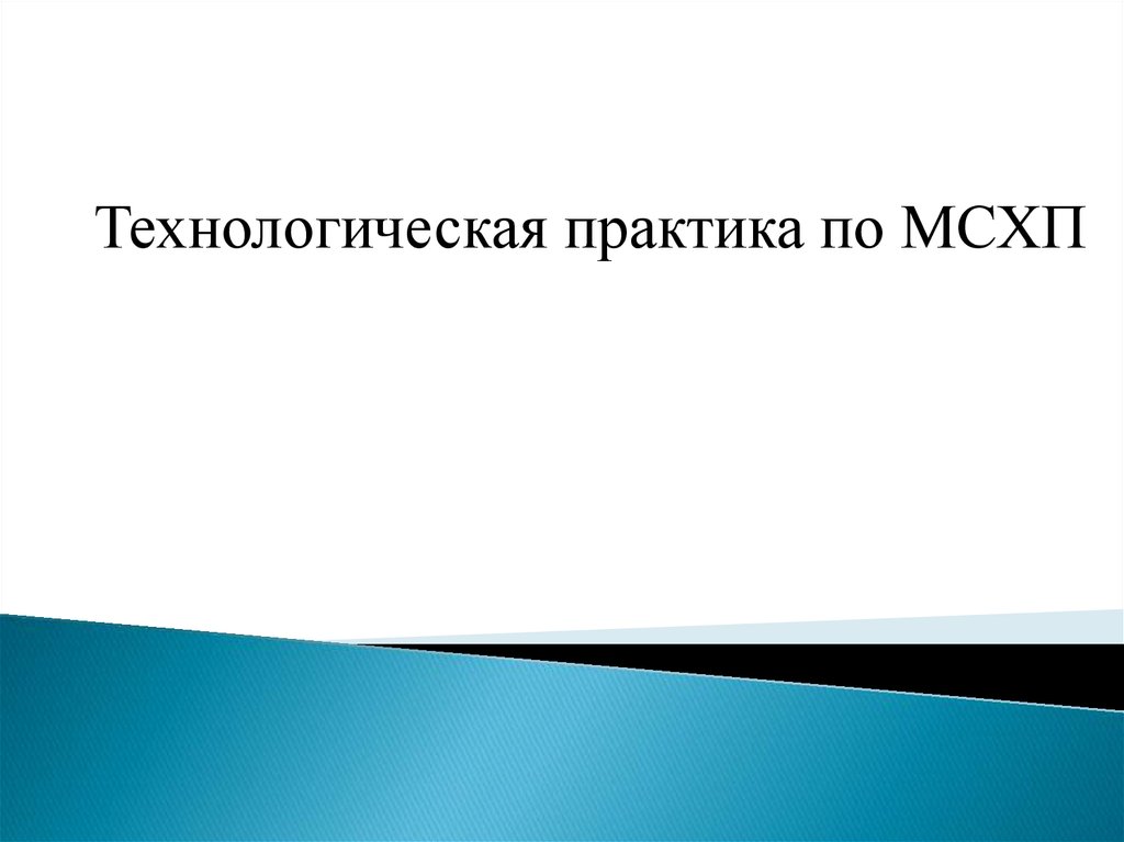 Проектно-технологическая практика. Цель технологической практики. Доклады по МСХП.