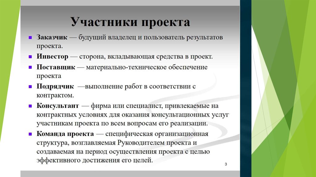 Организационная структура возглавляемая руководителем проекта