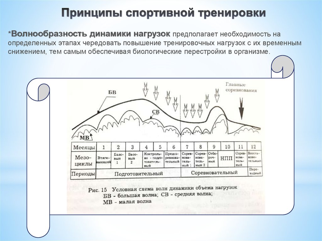 Нагрузка процесса. Принцип волнообразности динамики нагрузок. Принцип волнообразной динамики нагрузки. Принципы процесса спортивной тренировки. Принципы построения спортивной тренировки.