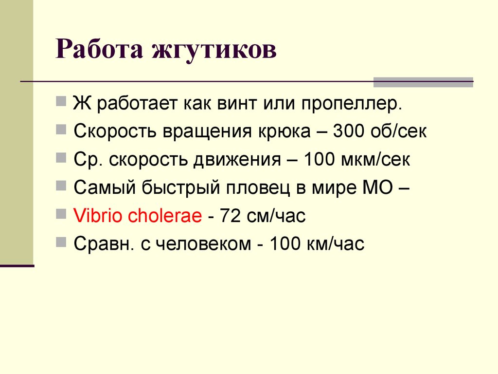 Работа жгутика