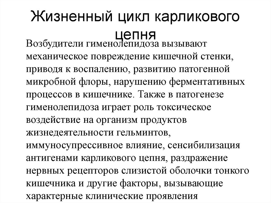 Схема лечения карликового цепня