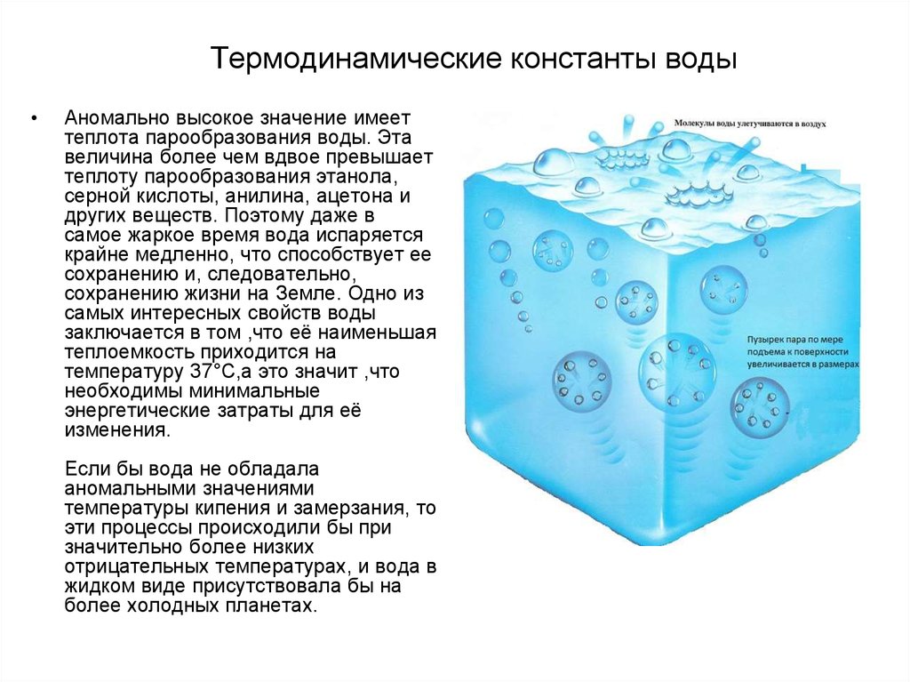 Теплота замерзания воды. Аномалии воды химия. Аномалия воды температура. Вода аномальные свойства воды. Константа испарения воды.