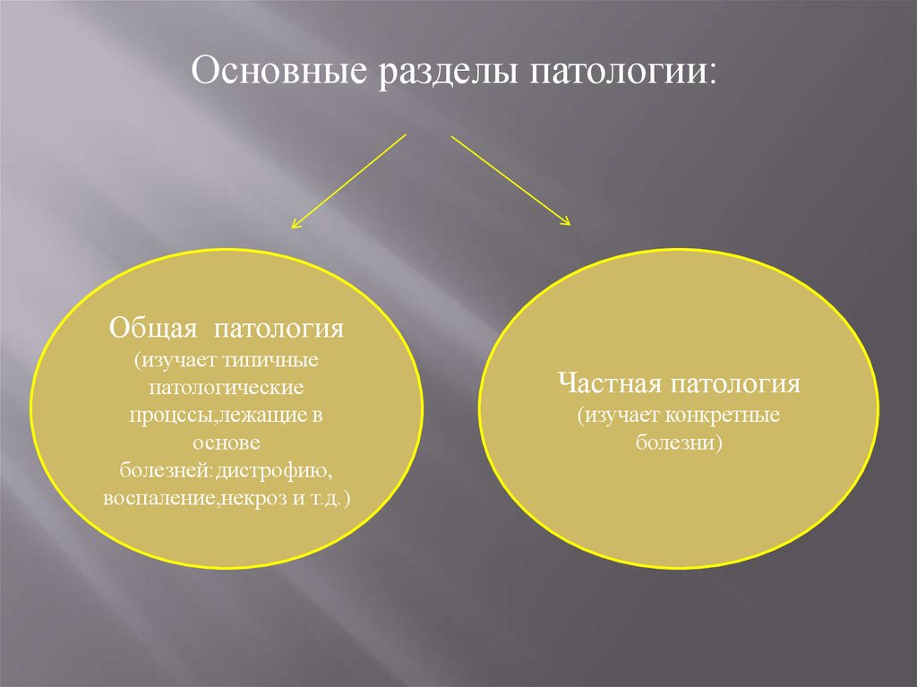 Патология. Основные разделы патологии. Основные разделы науки патологии. Предмет задачи и разделы патологии. Общая и частная патология.