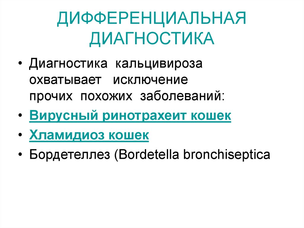 Бордетелла бронхисептика. Кальцивироз дифференциальный диагноз. Дифференциальная диагностика кальцивироза. Инфекционный ринотрахеит кошек диф диагноз. Кальцивироза кошек диагностика дифференциальная.