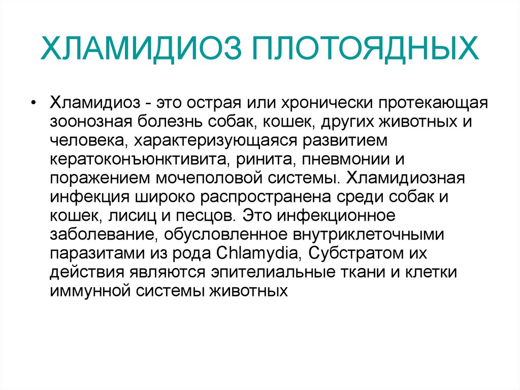 Хламидиоз это. Хламидиоза презентация. Хламидиоз у животных презентация. Симптомы хламидиоза у кошек.