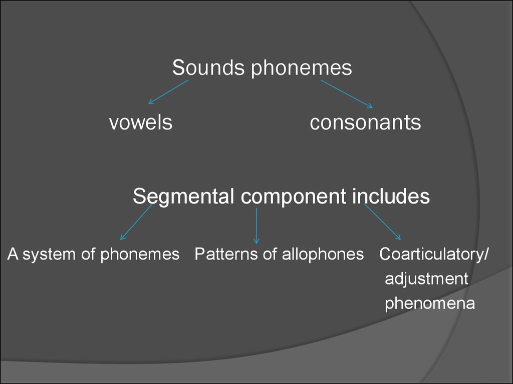 Sounds phonemes vowels consonants