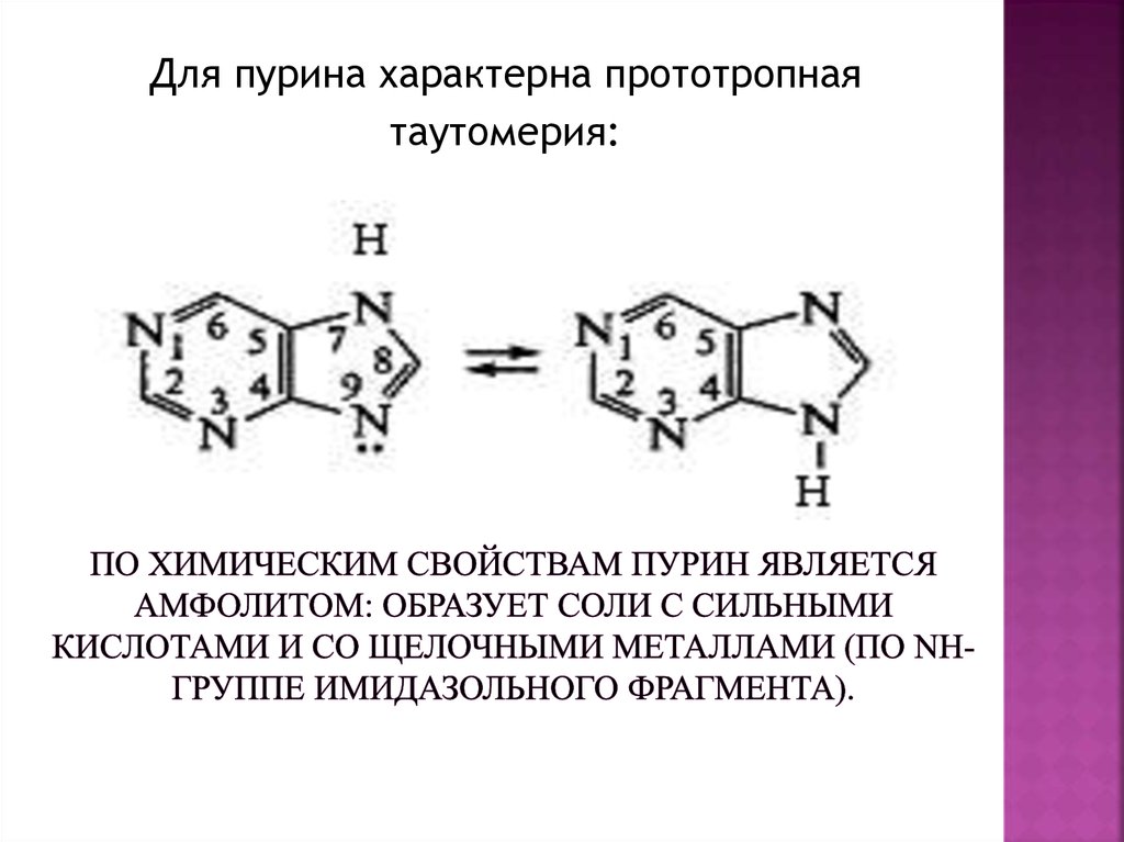 Система пурина