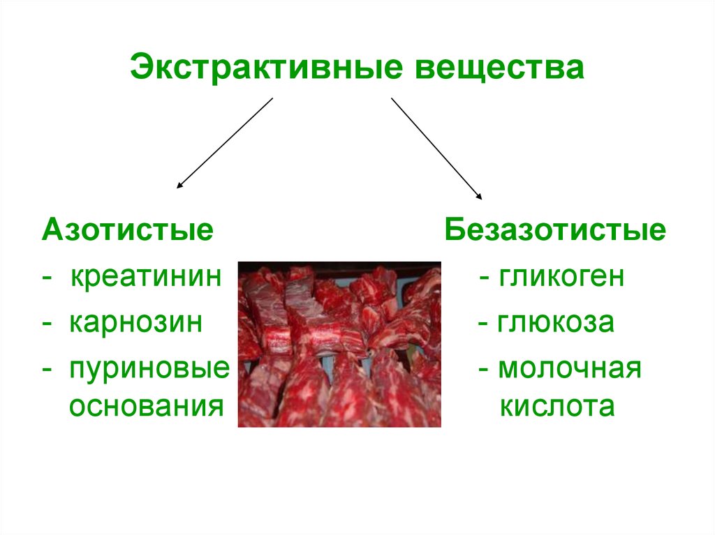 Вещества мяса. Азотистые экстрактивные вещества мяса. Экстрактивные вещества мышечной ткани. Экстректореые вещества. Азотистые экстрактивные вещества это.