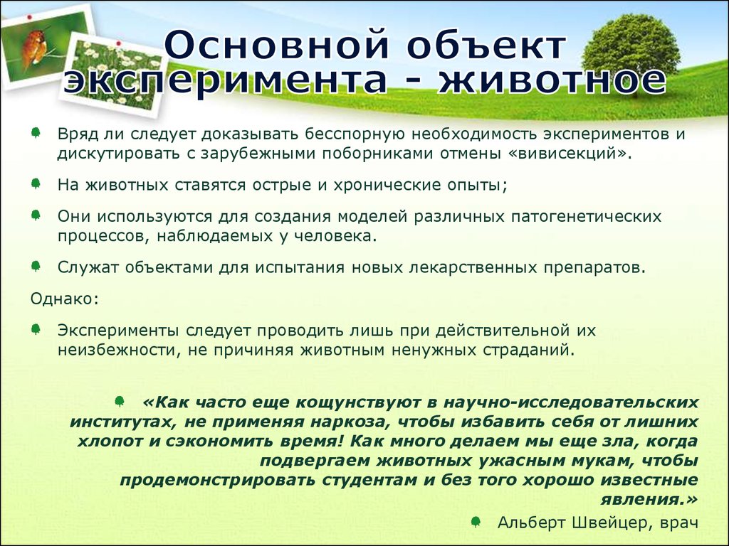 Объект эксперимента