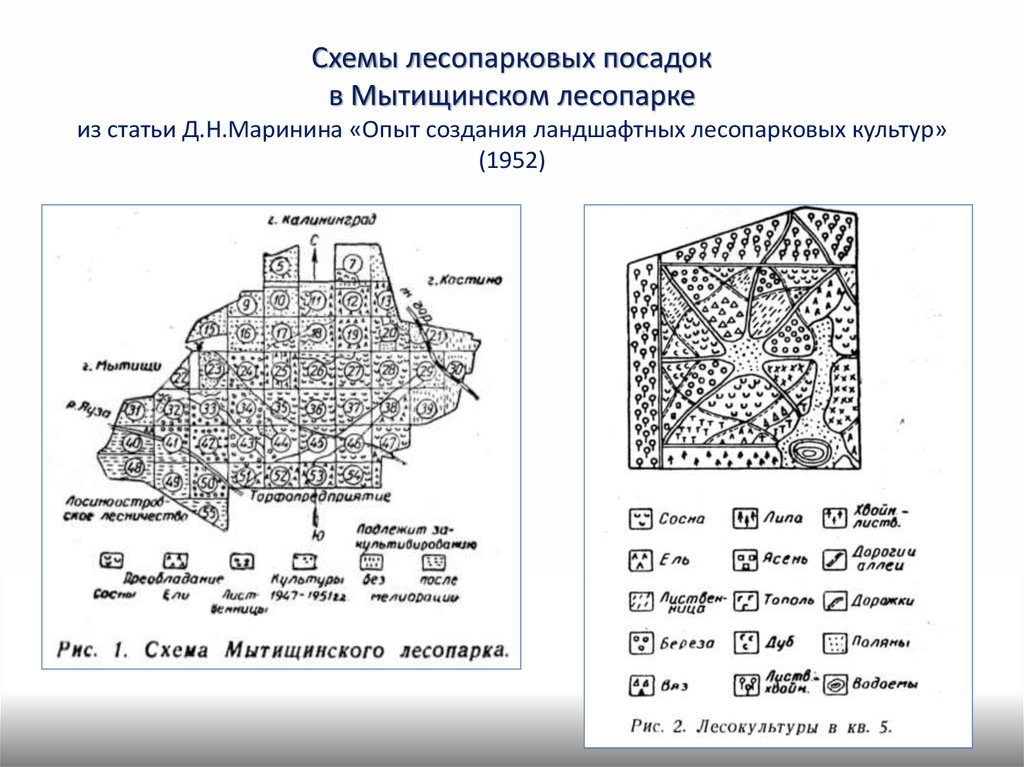 Мытищинский лесопарк схема