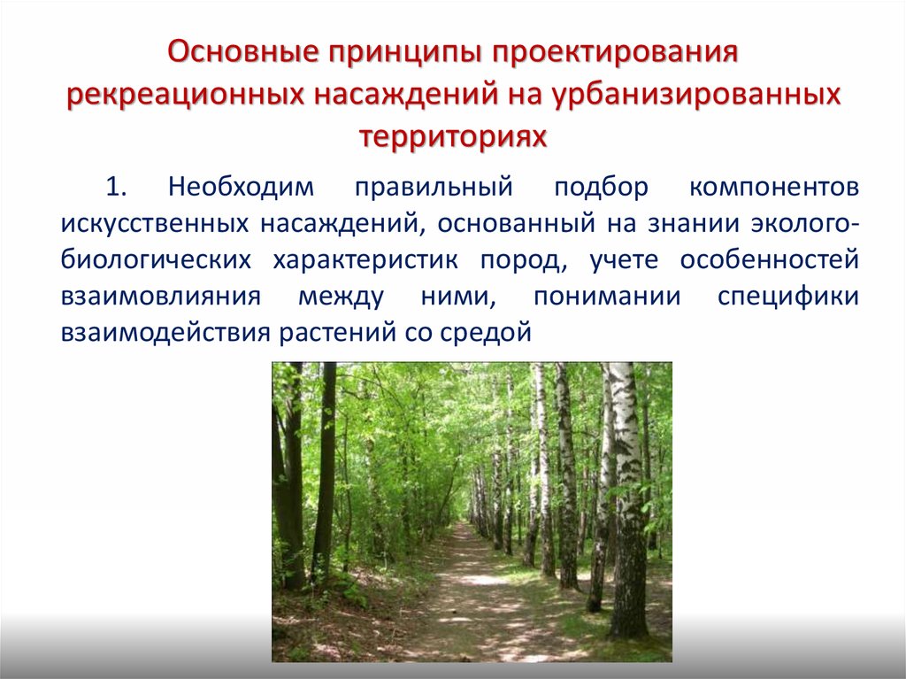 Основные принципы природы. Рекреационная функция зеленых насаждений. Зоны рекреационного назначения. Рекреационные мероприятия. Рекреационная роль леса.