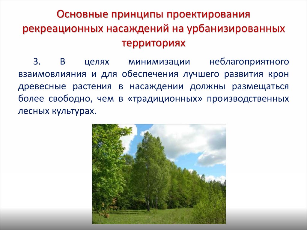 Должны размещаться. Оценка рекреационных насаждений.. Виды лесных насаждений. Мероприятия проектируемые в рекреационных лесах. Рекреационная нарушенность насаждения.