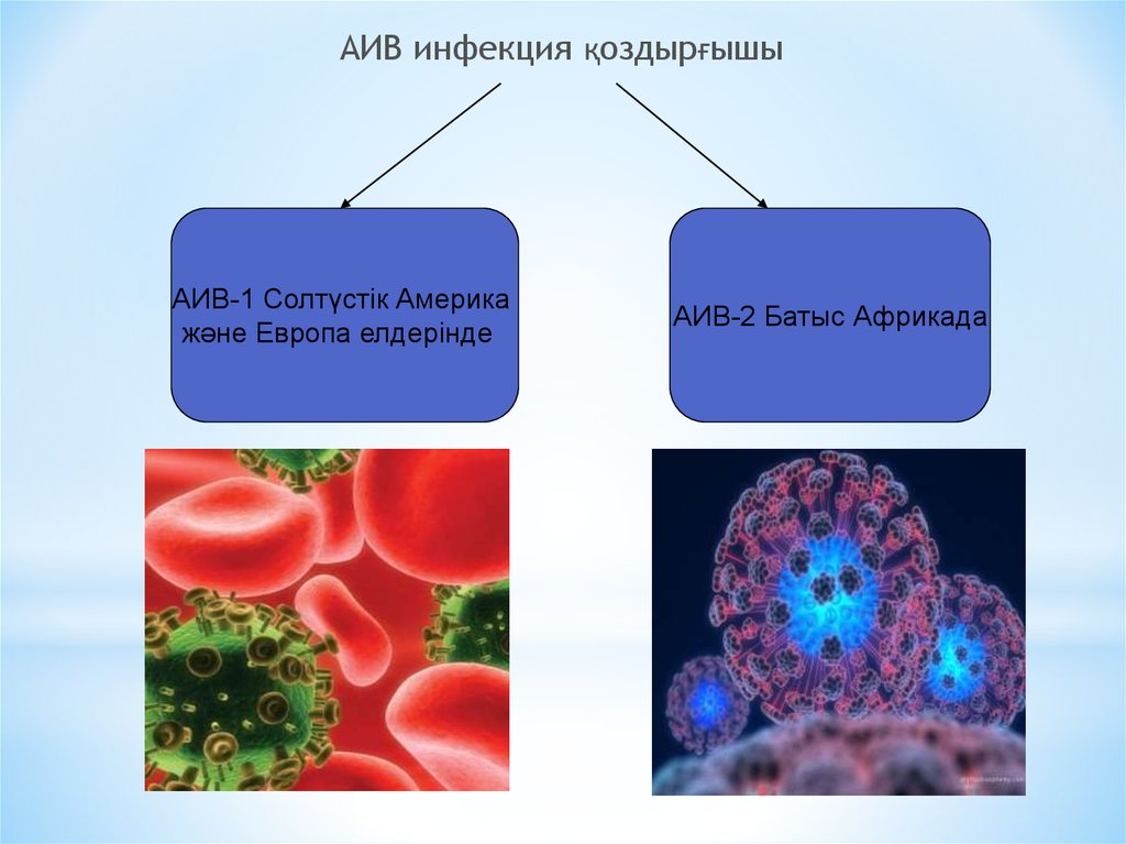 Аитв инфекциясы презентация