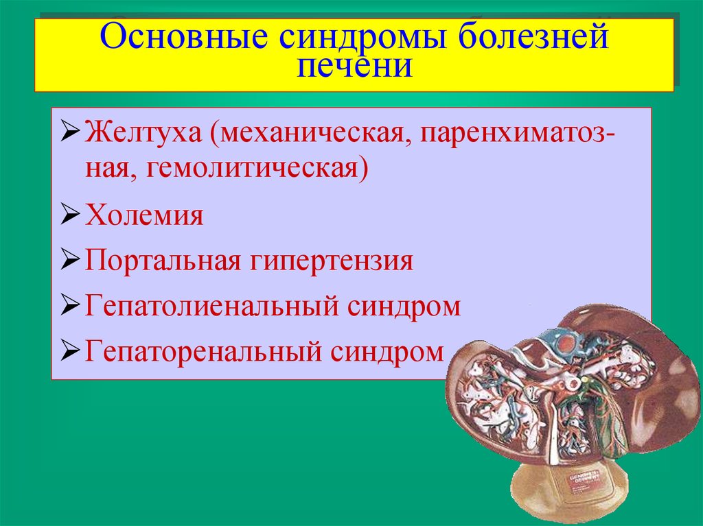 Синдром больной печени. Основные синдромы болезней печени. Основные синдромы поражения печени. Холемия при механической желтухе. Лабораторные синдромы при заболеваниях печени.