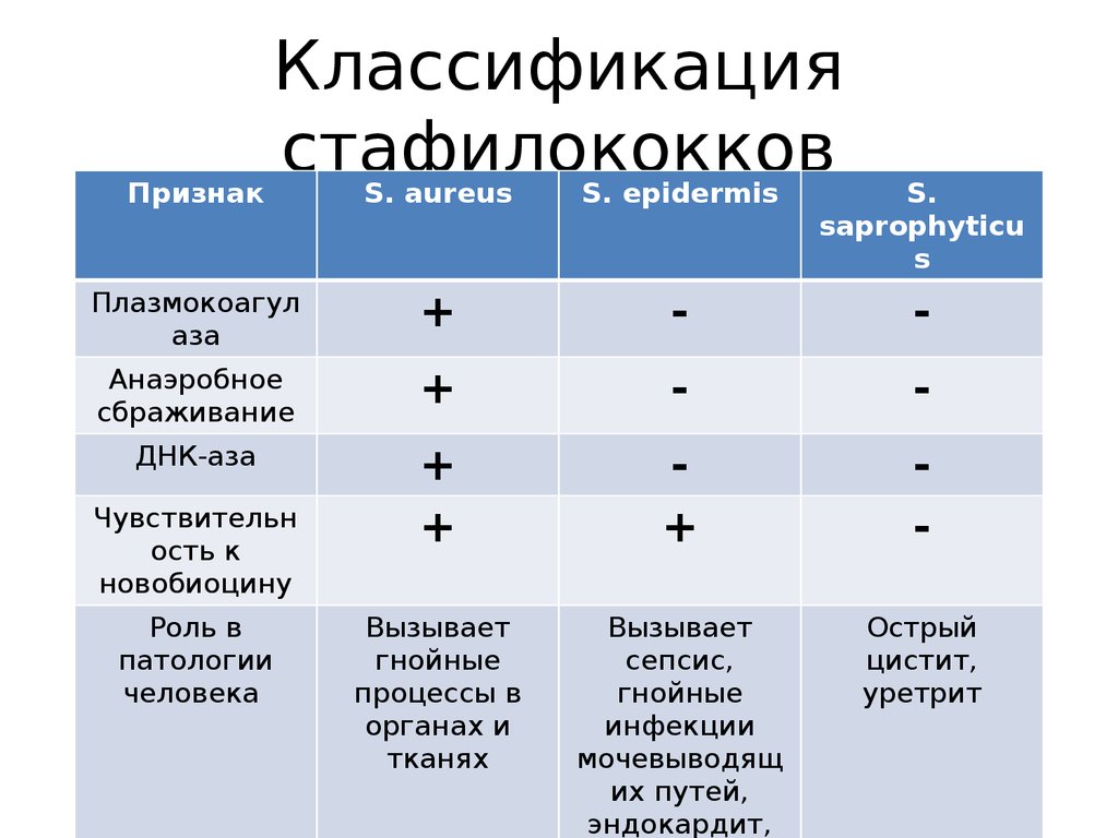 Staphylococcus aureus степени. Классификация стафилококков микробиология таблица. Классификация стафилококков. Стафилококки и стрептококки сравнительная таблица. Стафилококки свойства микробиология.