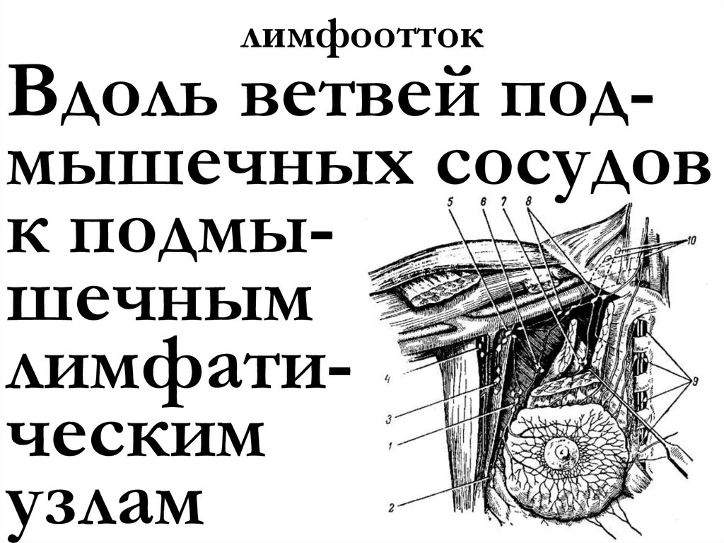 лимфоотток