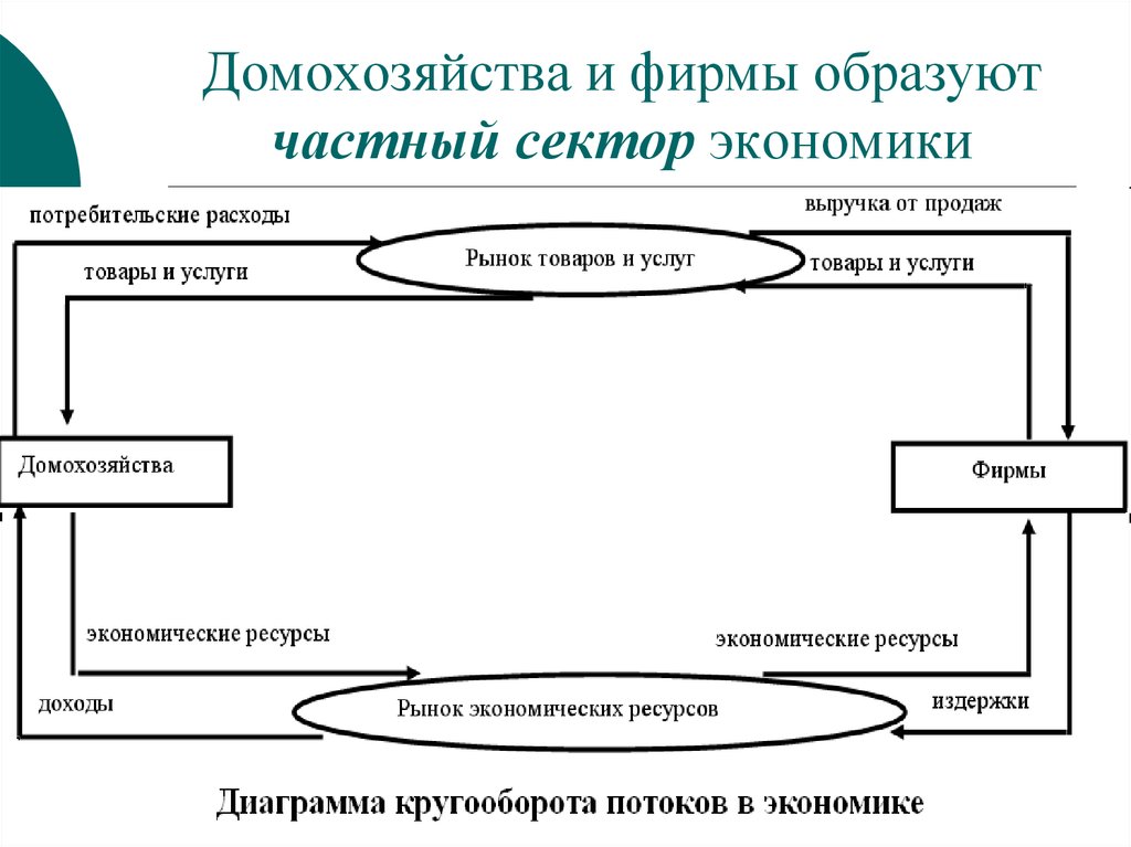 Домашнее хозяйство это. Домохозяйства и фирмы. Домашние хозяйства и фирмы. Фирма и домашнее хозяйство. Частный сектор экономики.