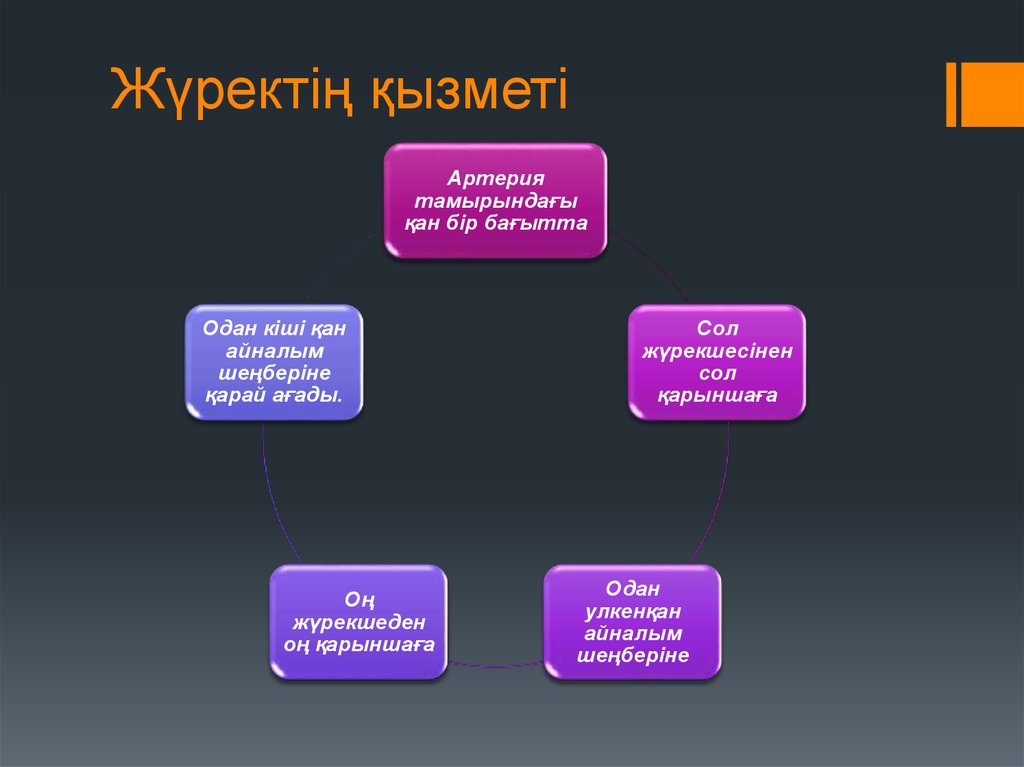 Жүрек автоматиясының механизмі презентация