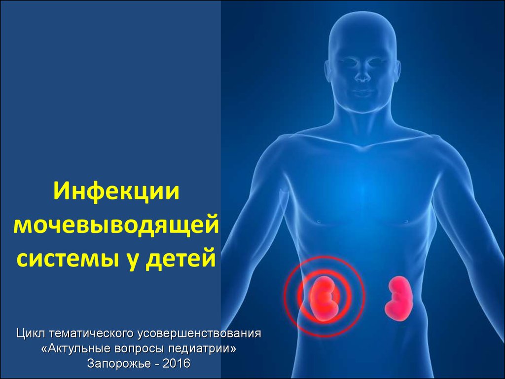 Инфекции мочевыводящей системы у детей - презентация онлайн