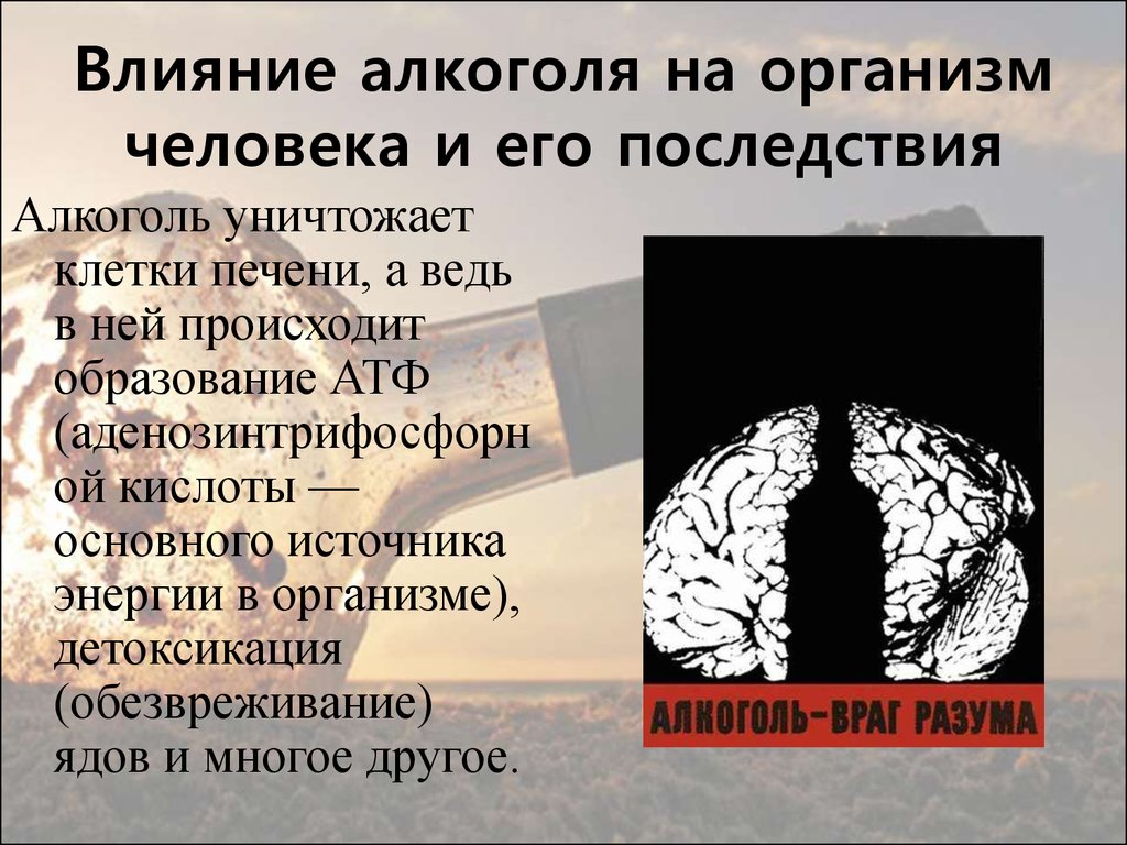 Индивидуальный проект на тему влияние алкоголя на организм