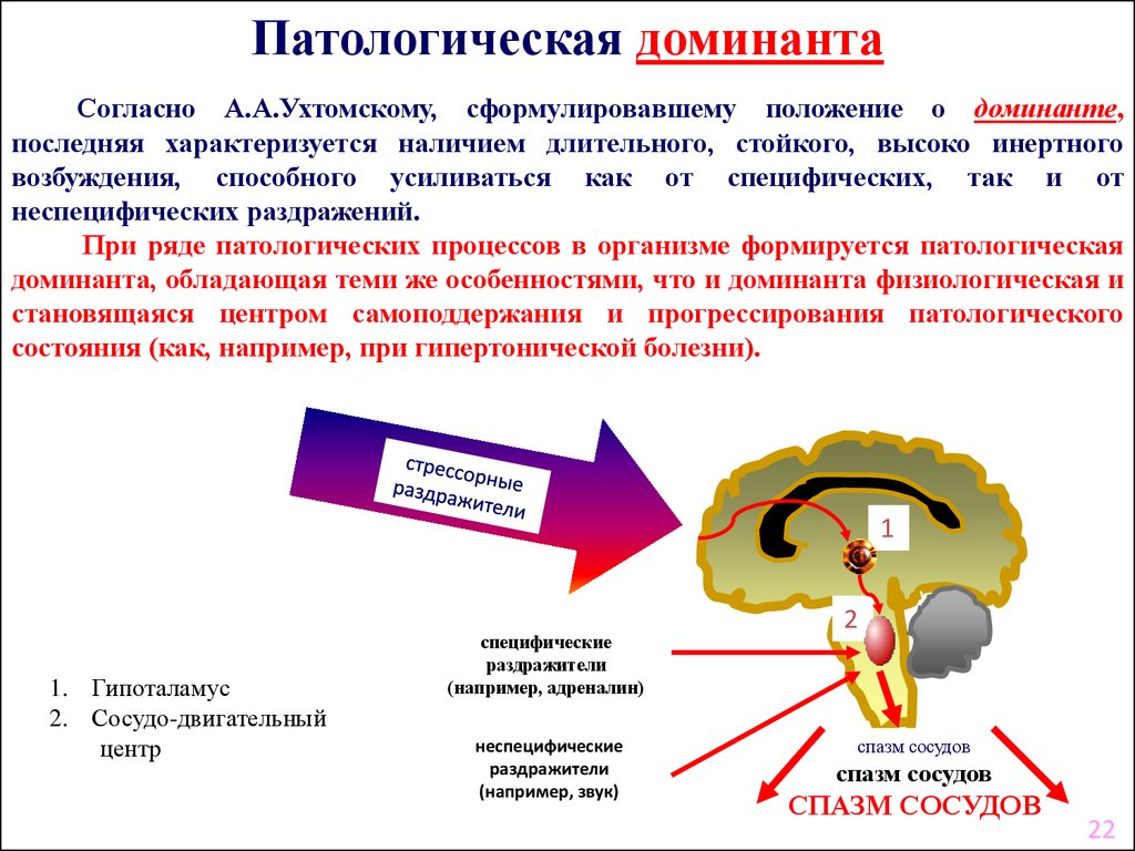 Нарушение схемы тела возникает при патологическом процессе в полушария