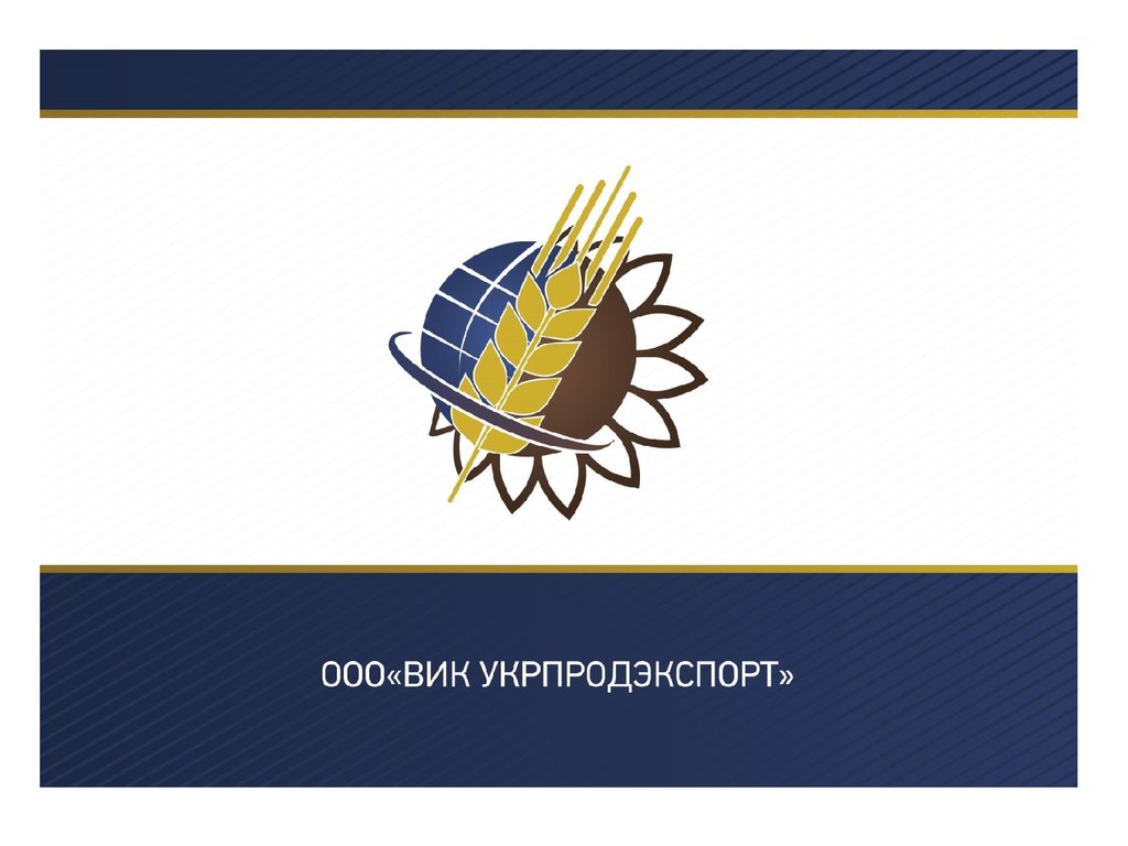 Ооо вик проект