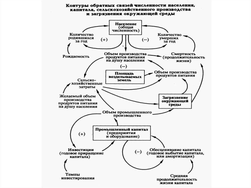 Системная динамика презентация