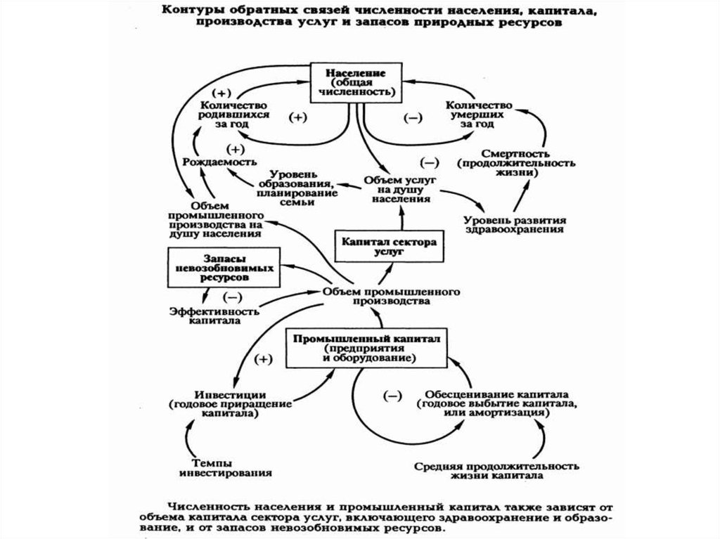 Системная динамика презентация