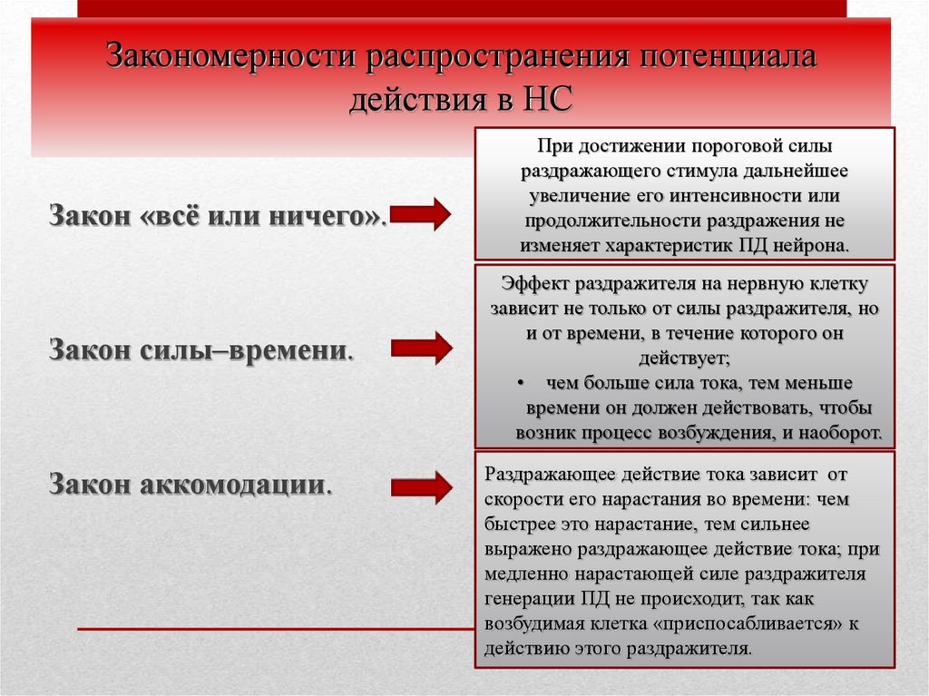 Закон силы времени. Закономерности распространения. Закон все или ничего. Закон силы все или ничего. Законы возбуждения: «всё или ничего», «силы»..