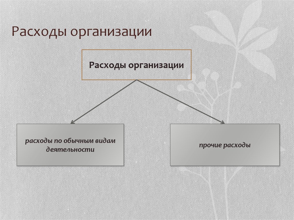 Расходы юридического лица