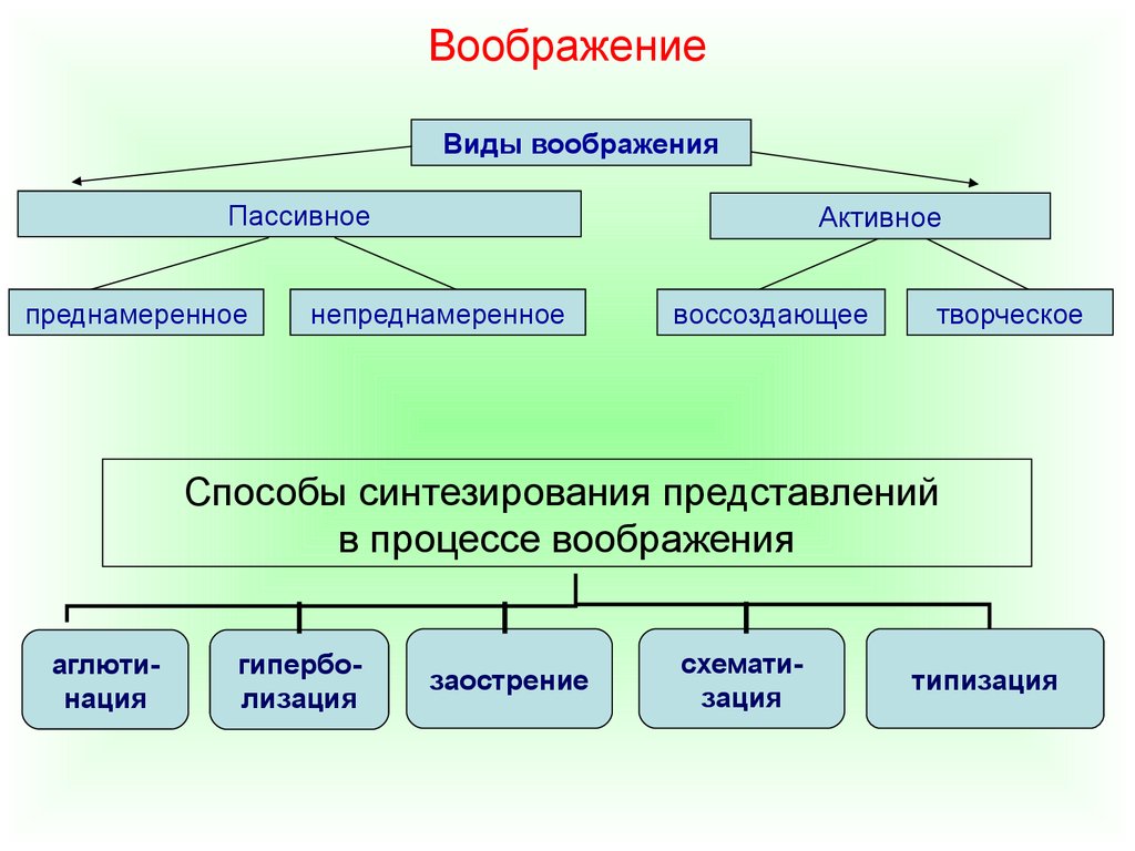 Представления относятся. Воображение в психологии. Виды воображения. Виды воображения схема. Лекция по психологии воображение.