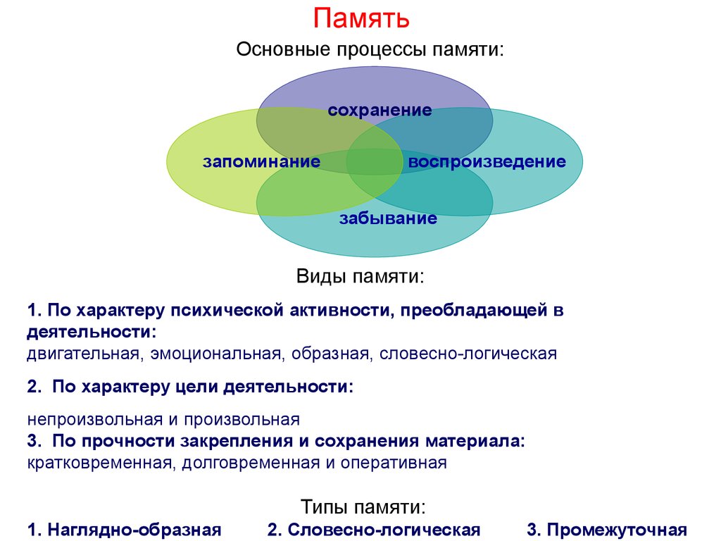 Процессы памяти запоминание сохранение воспроизведение. Виды и процессы памяти. Память ее виды основные процессы памяти. Память это в психологии. Память по характеру запоминания.