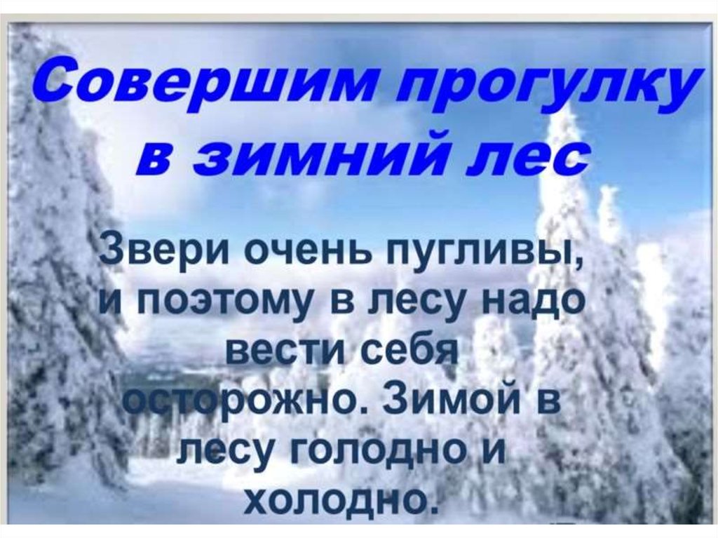 Зима лес слова. Презентация на тему зимний лес. Тема зима в лесу для презентации. Презентация на тему путешествие в зимний лес. Фразы про зимний лес.