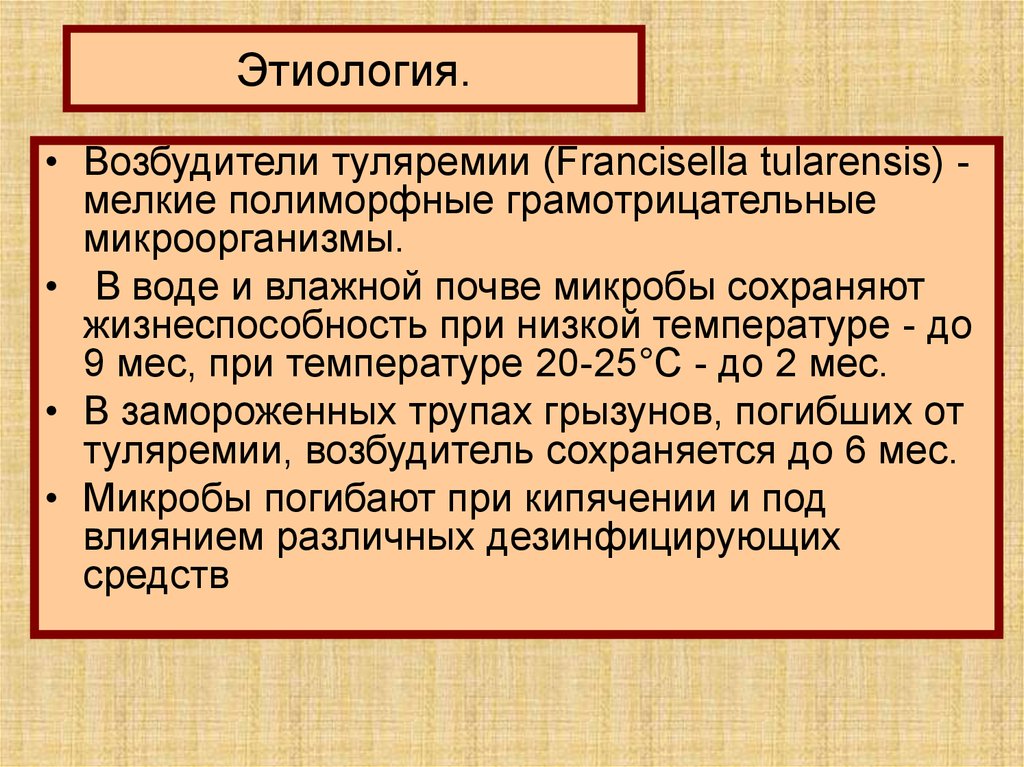 Возбудитель туляремии микробиология презентация