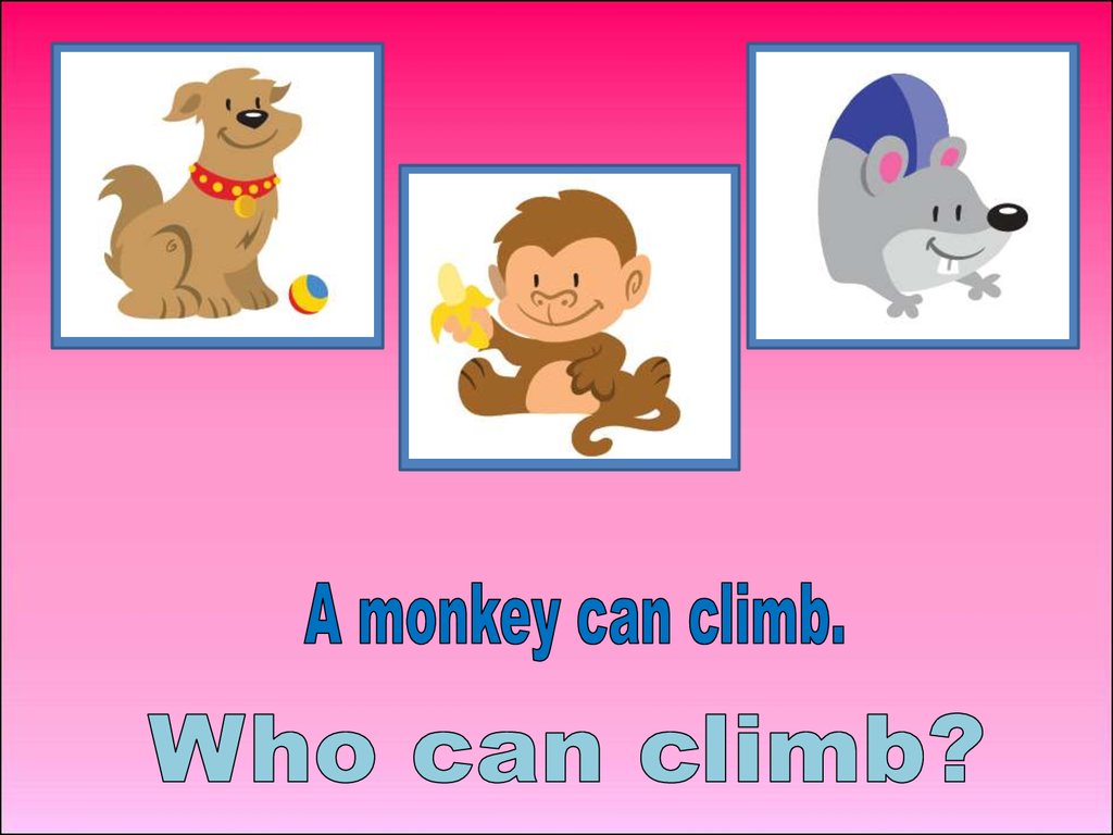 A chimp can sing. Monkey can Climb. Can презентация. Can презентация 2 класс. Chimp can для детей английский.