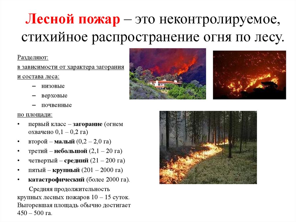 Характер пожаров. Краткая характеристика лесных пожаров. Предвестники лесного пожара БЖД. Характеристика лесных пожаров причины. Природные пожара это БЖД классификация.