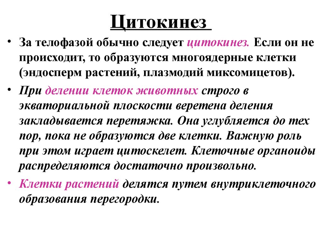 Цитокинез. Процесс цитокинеза. Цитокинез в растительной и животной клетки. Цитокинез в клетках животных и растений.