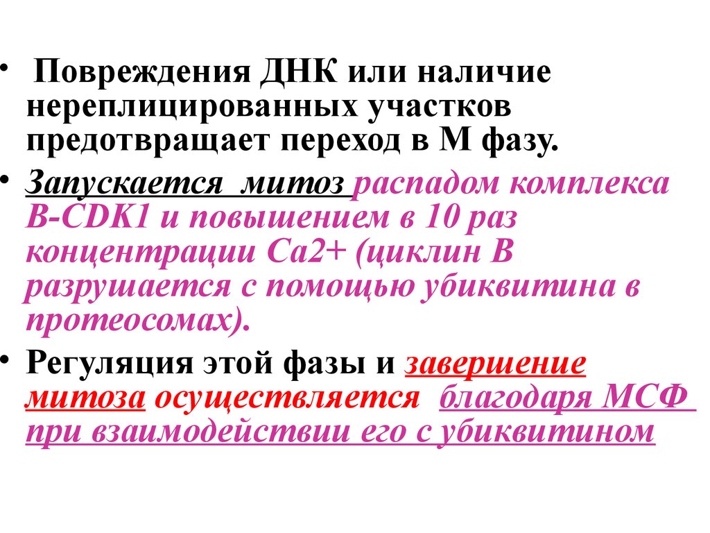 Регуляция митотической активности. Регуляция митотического цикла. Митотический индекс. Митотический цикл и его механизмы. Регуляция митотической активности клеток.