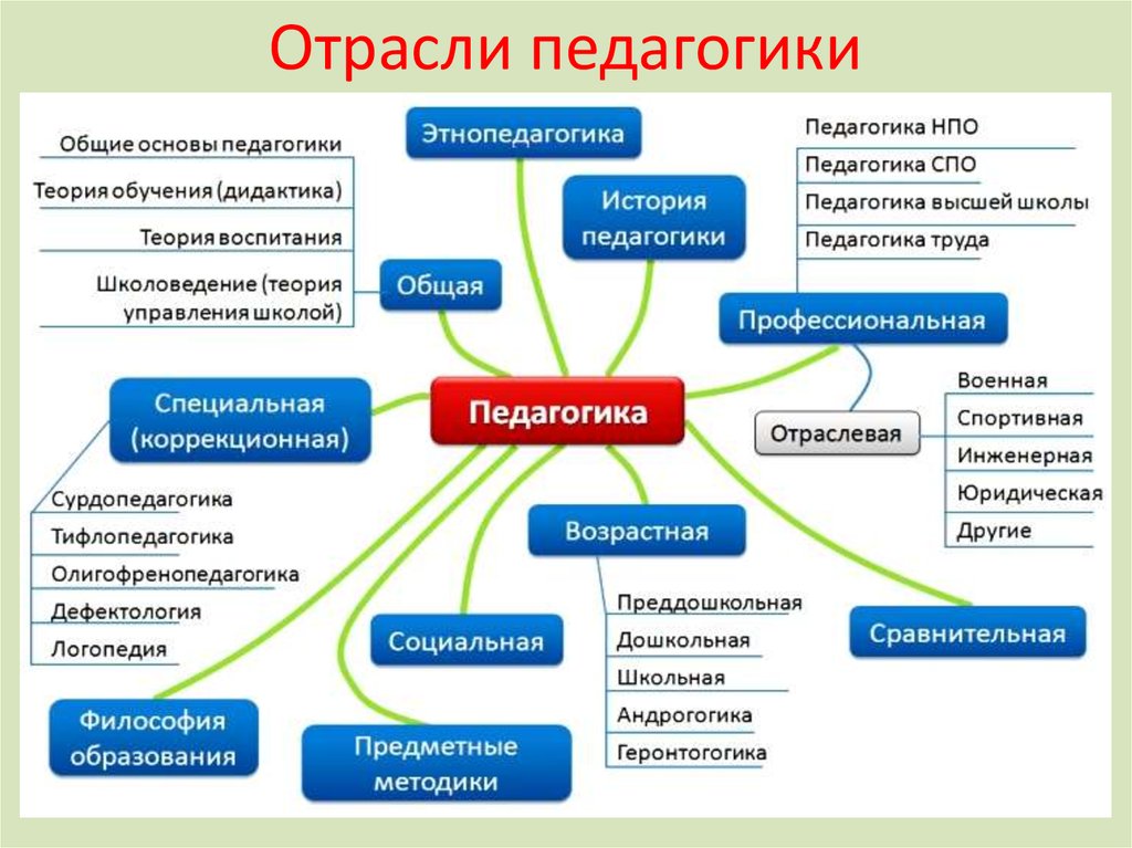 Схема педагогических наук