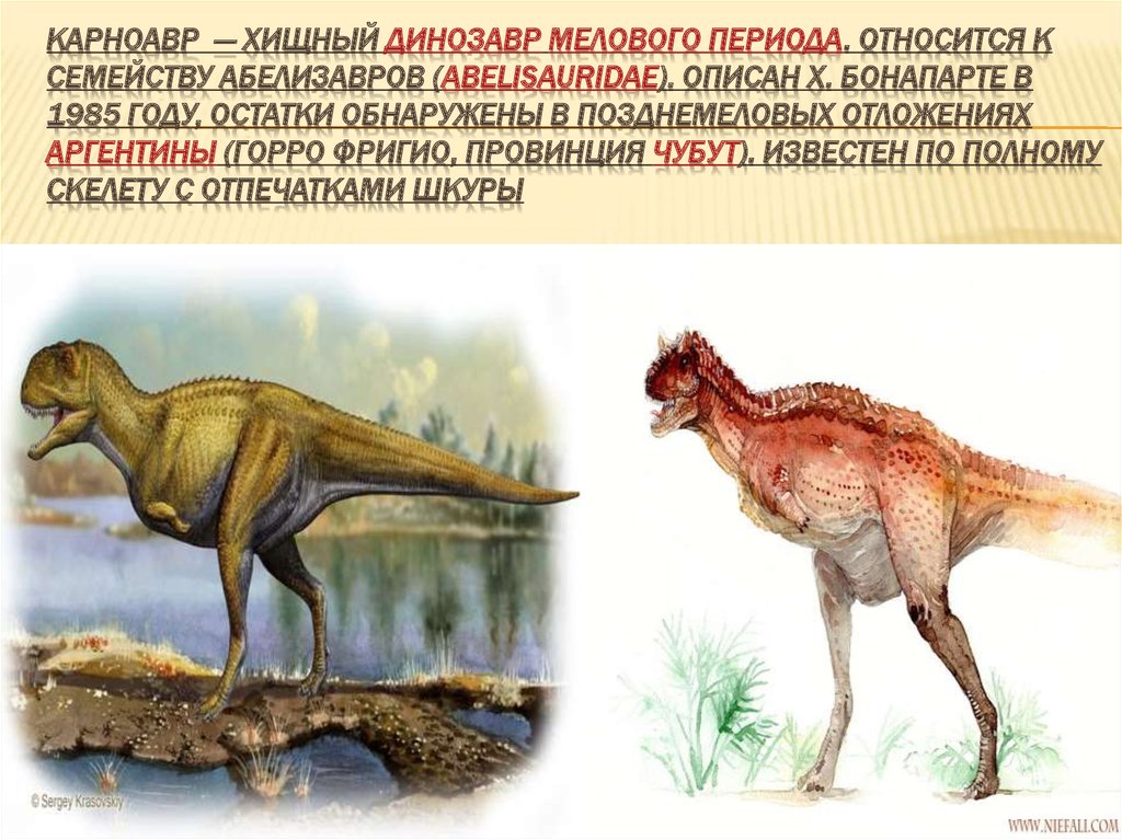 Хищные динозавры названия и фото на русском