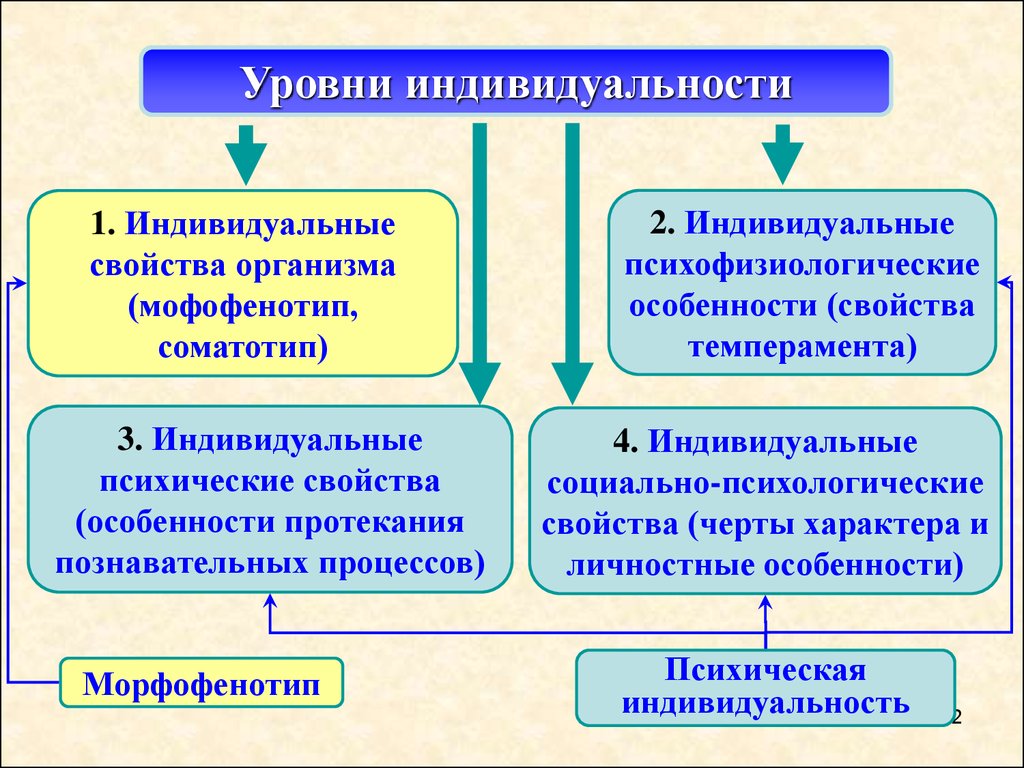 Социальные индивидуальные качества человека. Уровни индивидуальности.