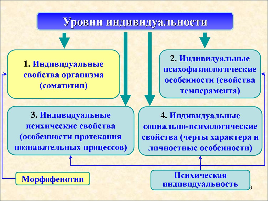 Этапы формирования психогений схема