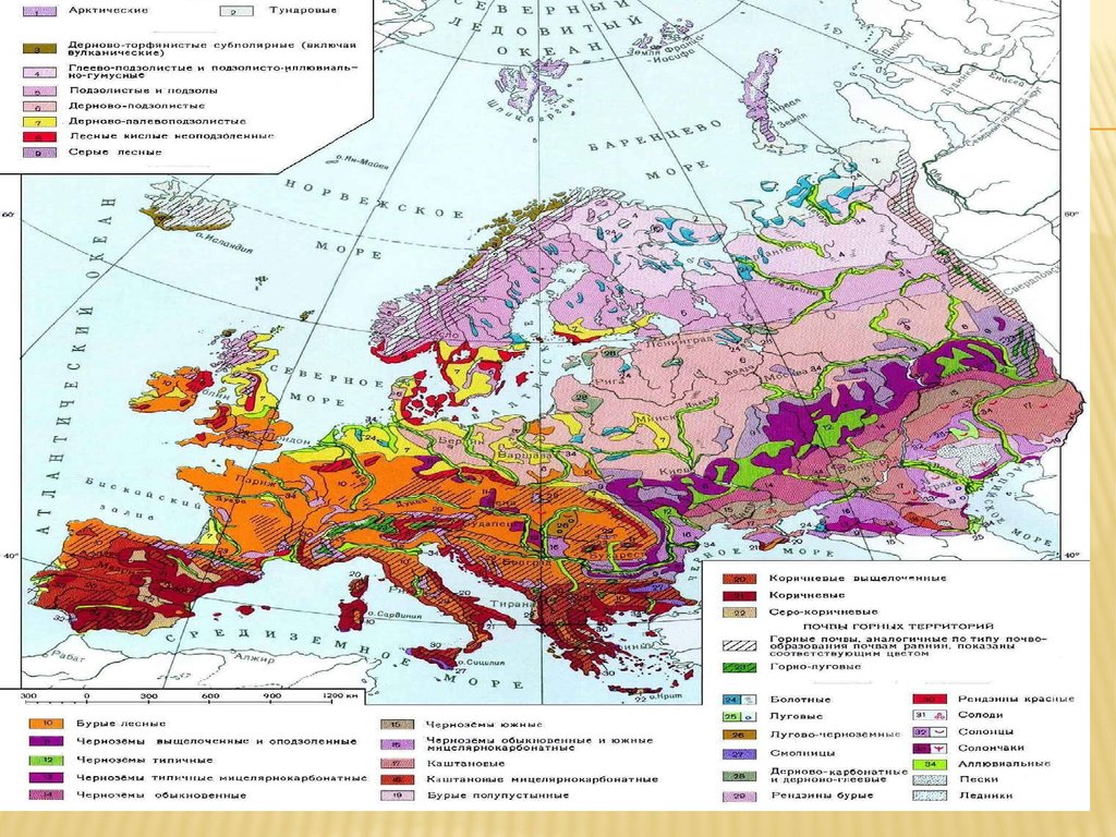 Почва северной евразии. Карта черноземов Европы. Карта почв Европы. Типы почв Европы. Карта почв Западной Европы.