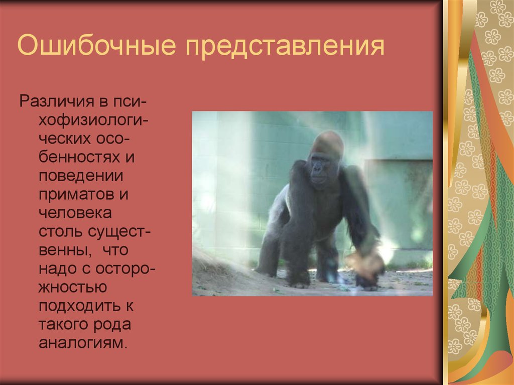 Живо представление. Особенности поведения приматов. Ошибочное представление. Особенности поведения обезьян. Ошибочное представление людей.